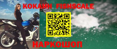 прущие грибы Гудермес