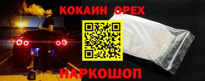 прущие грибы Гудермес