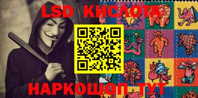 прущие грибы Гудермес