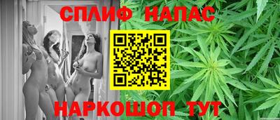 прущие грибы Гудермес