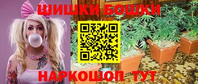 прущие грибы Гудермес