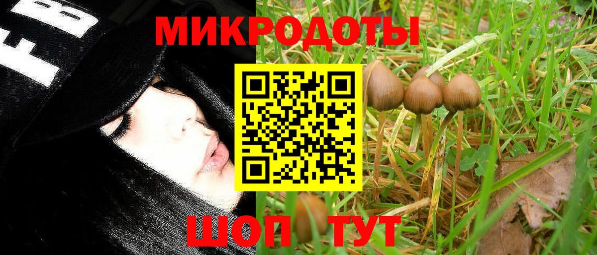 Галлюциногенные грибы мухоморы Новоуральск