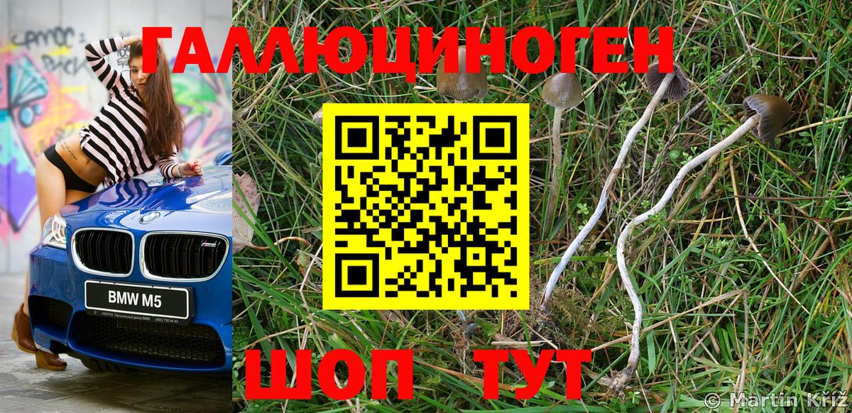 Псилоцибиновые грибы Magic Shrooms  Псилоцибиновые грибы Psilocybe  Новоуральск  Вход с VPN 
